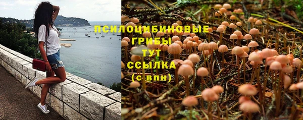 МДПВ Аркадак