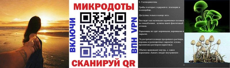 Купить закладки  Сунжа  Галлюциногенные грибы Cubensis 